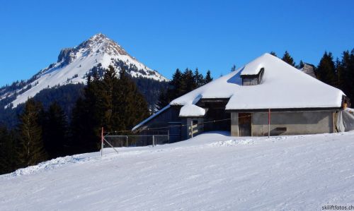 24. Januar 2017
