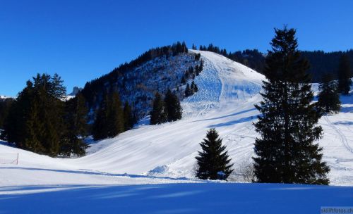 24. Januar 2017
