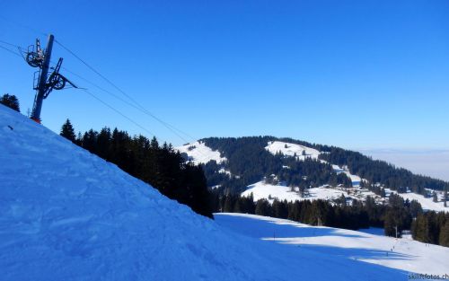 24. Januar 2017
