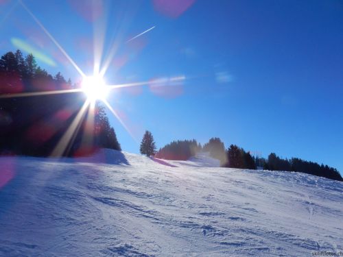 24. Januar 2017
