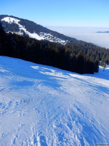 24. Januar 2017
