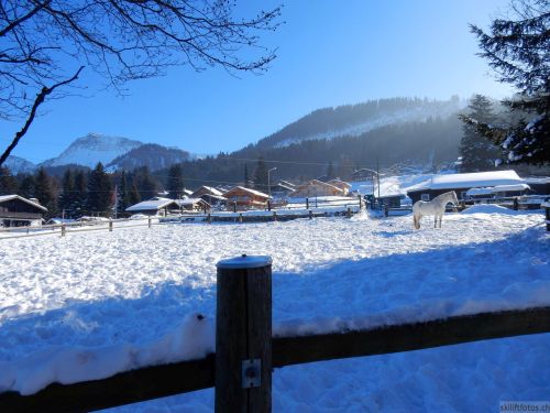 24. Januar 2017
