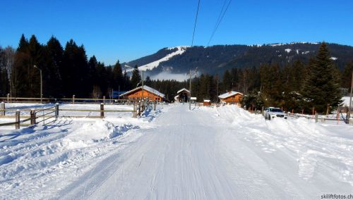 24. Januar 2017
