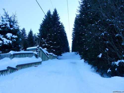 24. Januar 2017
