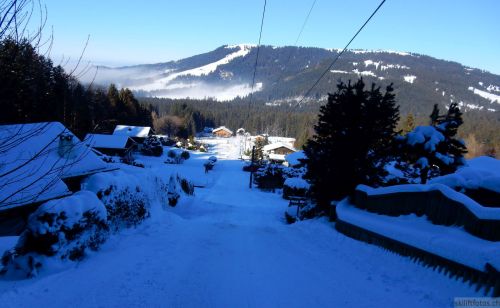 24. Januar 2017

