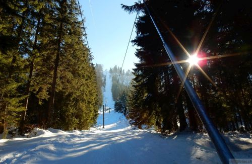 24. Januar 2017

