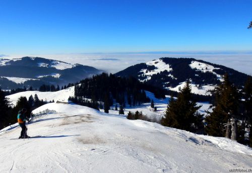 24. Januar 2017
