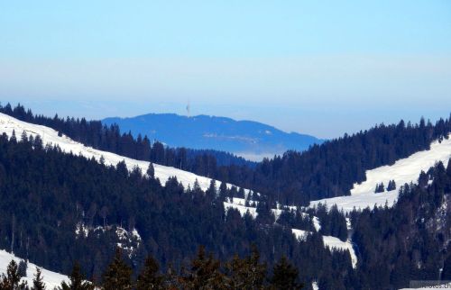 24. Januar 2017
