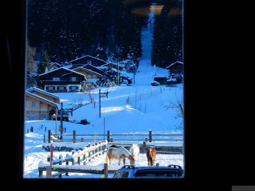 24. Januar 2017
