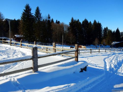 24. Januar 2017
