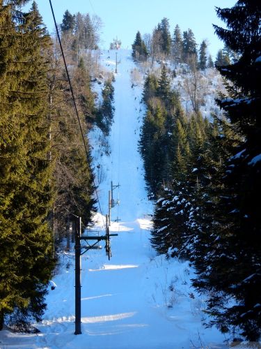 24. Januar 2017
