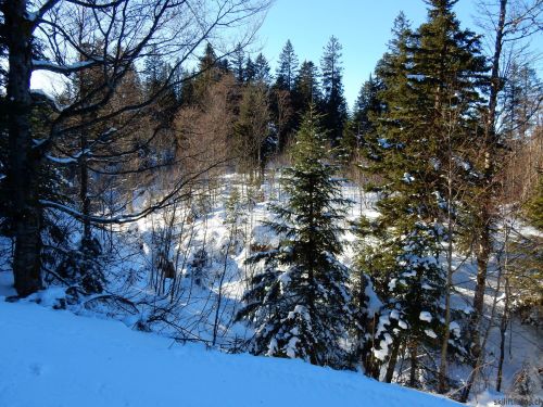 24. Januar 2017
