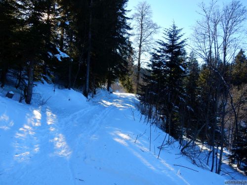 24. Januar 2017
