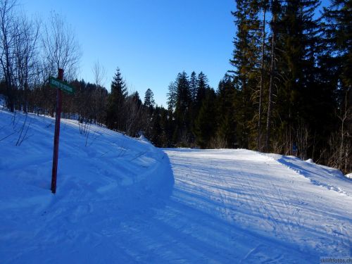 24. Januar 2017
