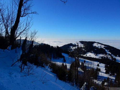 24. Januar 2017
