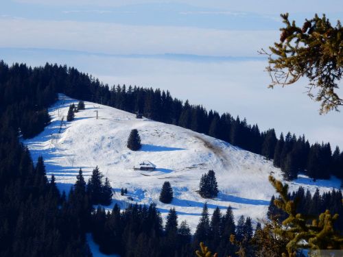 24. Januar 2017
