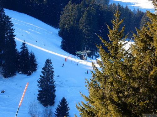 24. Januar 2017
