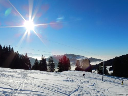 24. Januar 2017
