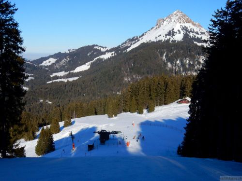 24. Januar 2017
