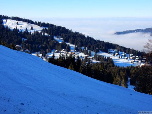 24. Januar 2017
