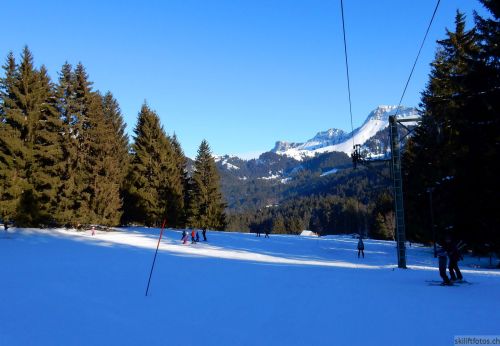 24. Januar 2017
