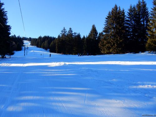 24. Januar 2017
