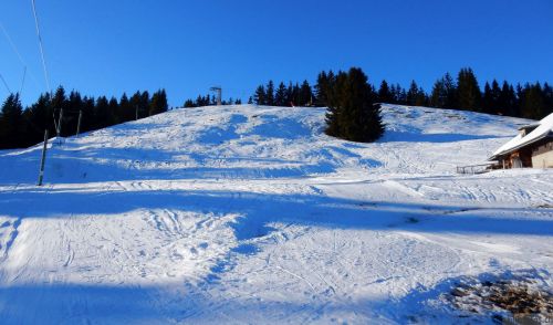 24. Januar 2017
