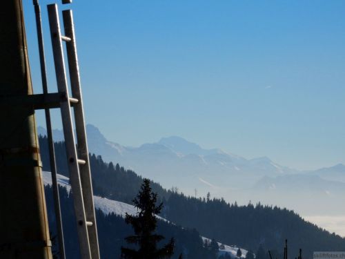 24. Januar 2017
