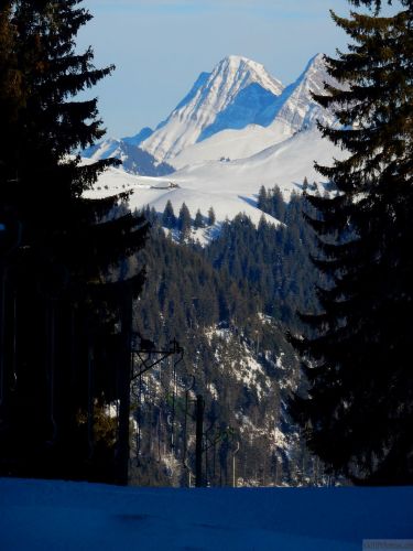 24. Januar 2017
