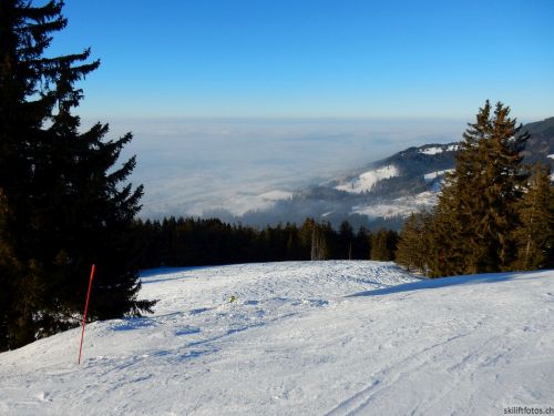 24. Januar 2017

