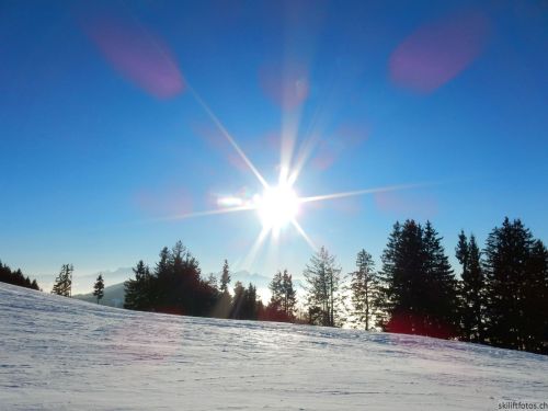 24. Januar 2017
