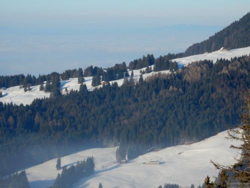 24. Januar 2017
