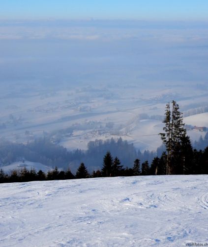 24. Januar 2017
