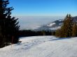 20170124-lespaccots-358.jpg