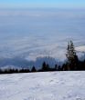 20170124-lespaccots-369.jpg