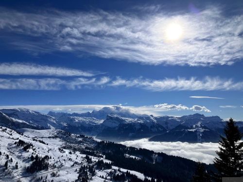 25. Januar 2023
