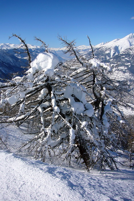 Februar 2009
