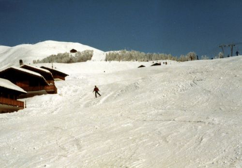 Rosswald, März 1984
