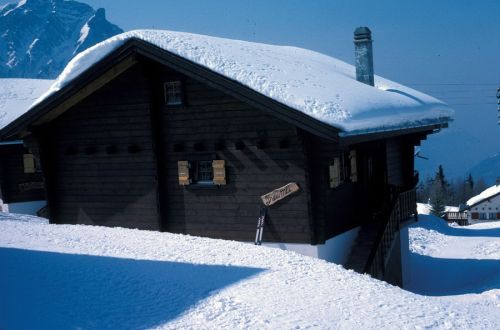 Rosswald, Treumli, März 1984
