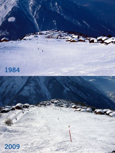 Vergleich Rosswald 1984-2009
