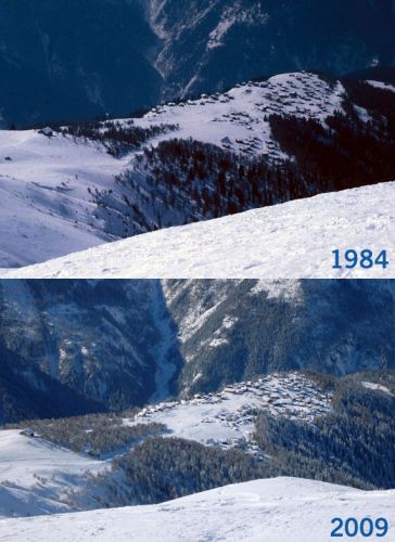 Vergleich Rosswald 1984-2009
