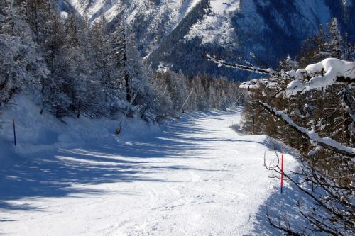 Februar 2009

