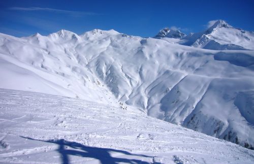 Februar 2009
