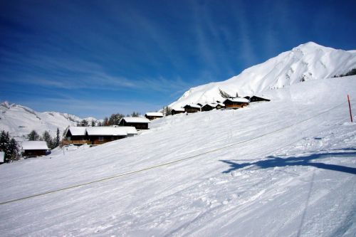 Februar 2009
