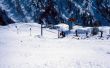 19840201-rosswald-021001.jpg