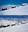 19840201-rosswald-vergleich-2009-03.jpg