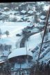 20090220-rosswald-0359.jpg