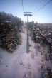 20090220-rosswald-0362.jpg