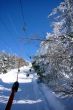 20090220-rosswald-0477.jpg