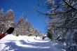 20090220-rosswald-0478.jpg
